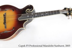 Capek F5 Professional Mandolin Sunburst, 2003 Full Front View