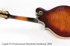 Capek F5 Professional Mandolin Sunburst, 2003 Full Rear View