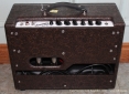 Carr Viceroy 1x12 Amplifier, 2010 rear