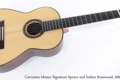 Cervantes Master Signature Spruce and Indian Rosewood, 2008 Full Front View