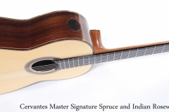 Cervantes Master Signature Spruce and Indian Rosewood, 2008 Side with Soundport View