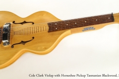 Cole Clark Violap with Horseshoe Pickup Tasmanian Blackwood, 2003   Full Front View