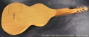 Cole Clark Violap Horseshoe Lap Steel 2003 full rear view