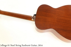 Collings 01 Steel String Sunburst Guitar, 2014 Full Rear View