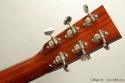 Collings 01E Englemann Top Steel String head rear view