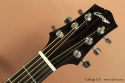 Collings C10 head front