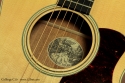 Collings C10 label