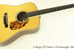 Collings CW Indian A Dreadnought, 2009 Full Front View