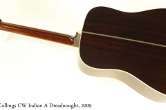 Collings CW Indian A Dreadnought, 2009 Full Rear View