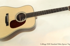 Collings D2H Standard Sitka Spruce Top  Full Front View