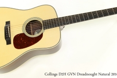 Collings D2H GVN Dreadnought Natural 2016 Full Front View