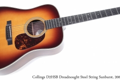 Collings D2HSB Dreadnought Steel String Sunburst, 2002 Full Front View