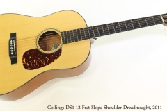 Collings DS1 12 Fret Slope Shoulder Dreadnought, 2011 Full Front View