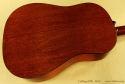 Collings DS1 back