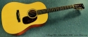 Collings DS-1a Adirondack full front view