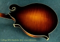 Collings MF5 Mandolin  back