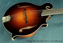 Collings MF5 Mandolin  top