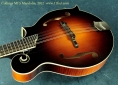 Collings MF5 Mandolin  top driver's side