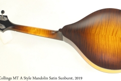 Collings MT A Style Mandolin Satin Sunburst, 2019 Full Rear View