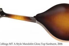Collings MT A-Style Mandolin Gloss Top Sunburst, 2006 Full Rear View