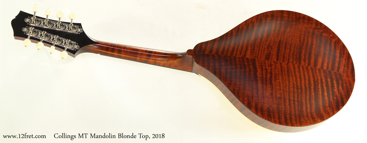 Collings MT Mandolin Blonde Top, 2018  Full Rear View