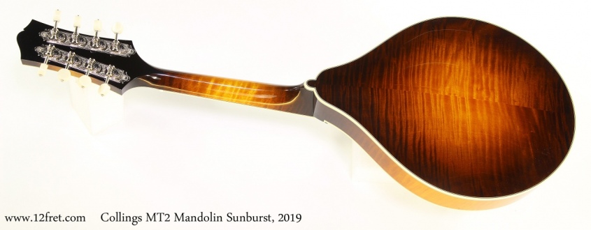 Collings MT2 Mandolin Sunburst, 2019 Full Rear View