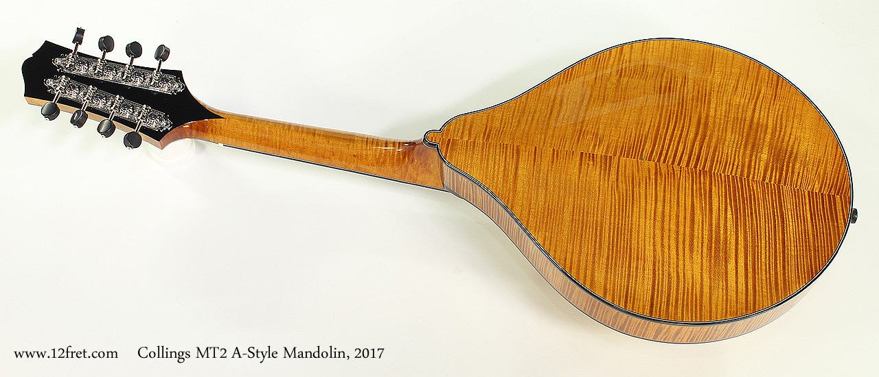 Collings MT2 A-Style Mandolin, 2017 Full Rear View
