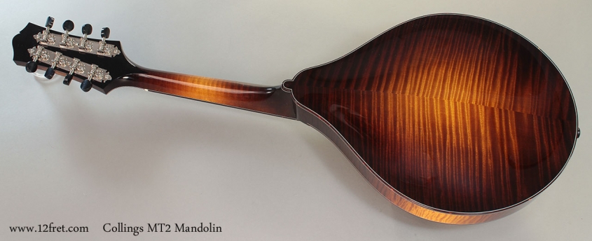 Collings MT2 Mandolin Full Rear View