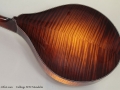 Collings MT2 Mandolin Back