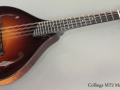 Collings MT2 Mandolin Full Front View