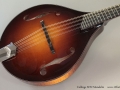 Collings MT2 Mandolin Top