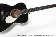 Collings OM1 Custom Doghair Blacktop, 2012 Full Front View
