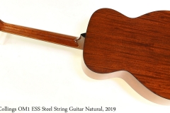 Collings OM1 ESS Steel String Guitar Natural, 2019 Full Rear View