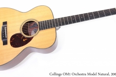 Collings OM1 Orchestra Model Natural, 2002 Full Front View