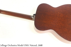 Collings Orchestra Model OM1 Natural, 2008 Full Rear View