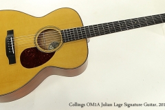 Collings OM1A Julian Lage Signature Guitar, 2018 Full Front View