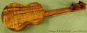 Collings UC1 Koa Ukulele rear view