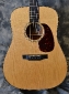 Collings_D1AV_2010(C)_top