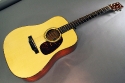 Collings_d1g_cons_full_3