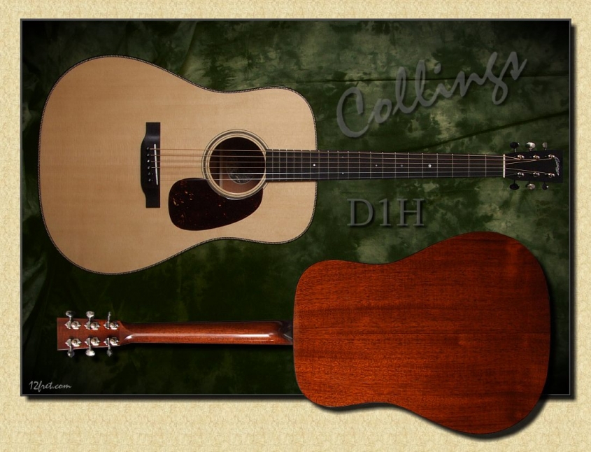 Collings_D1H