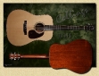 Collings_D1H