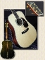 collings_D3_guitar