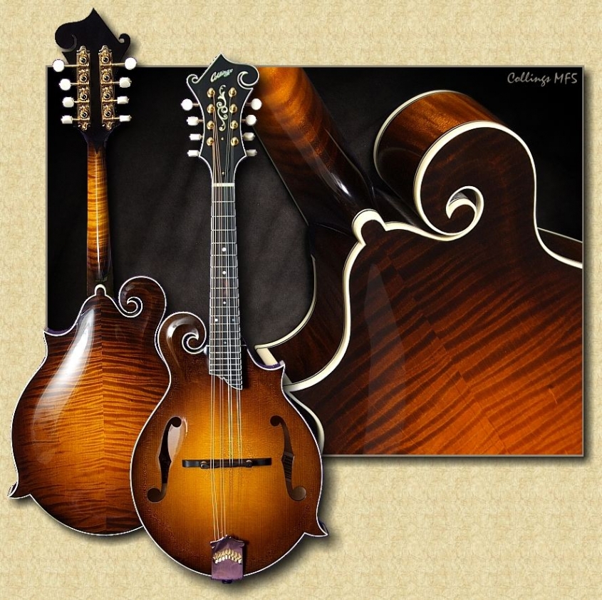 Collings_MF5_mandolin_Al8