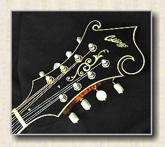 collings_MF5_varnish_2