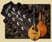 Collings_MT-20_Mandolin