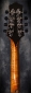 Collings_MT-20_Mandolin_Neck