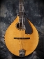 Collings_MT-20_Mandolin_Top