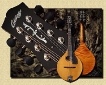 Collings_MT-20_Mandolin_small