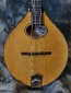 Collings_MT20_2009(C)_top