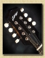 Collings_MT_Blackface_mandolin_Mch8b